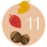 11月